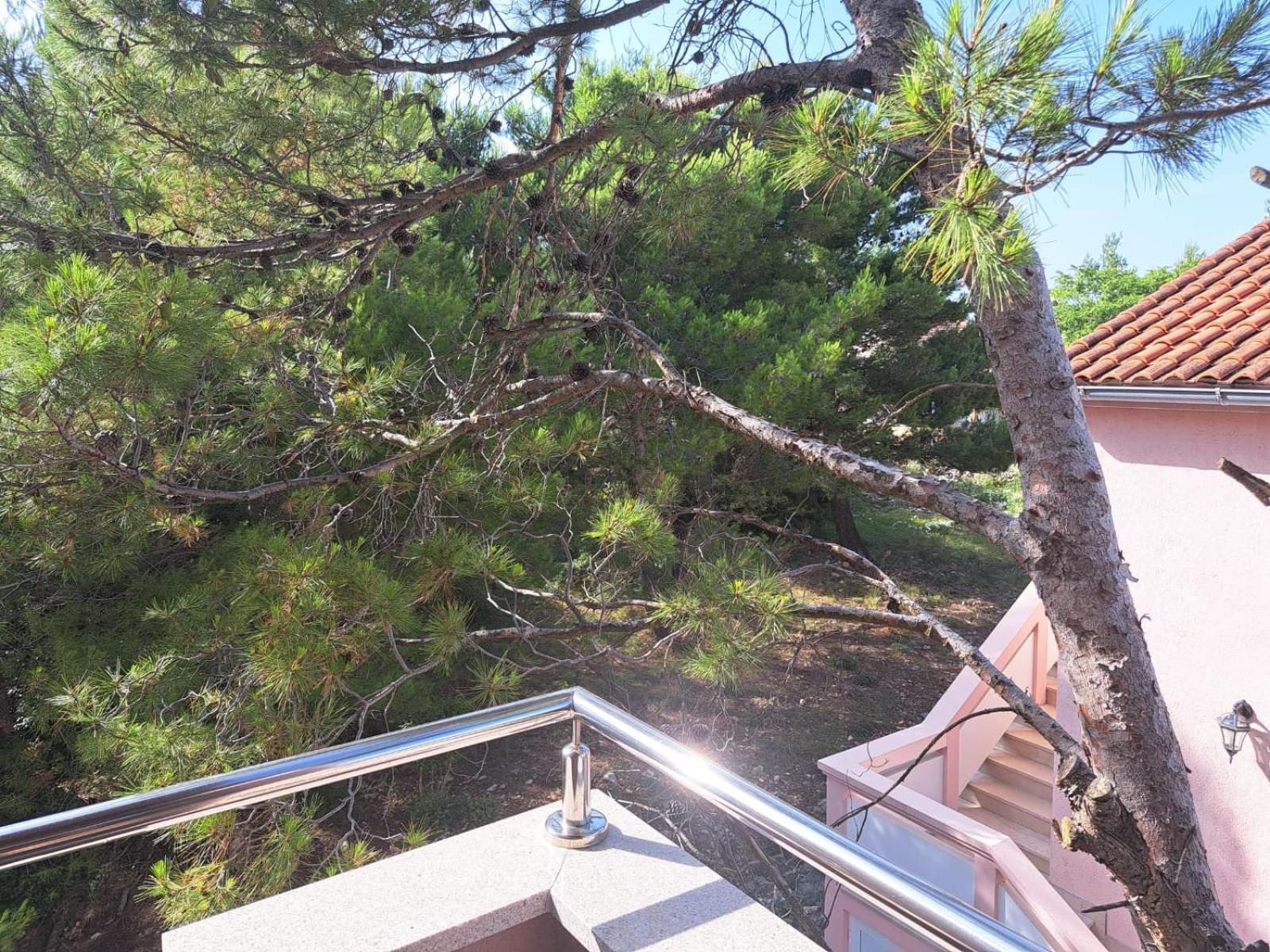 Apartmani Vukadin Vir Εξωτερικό φωτογραφία
